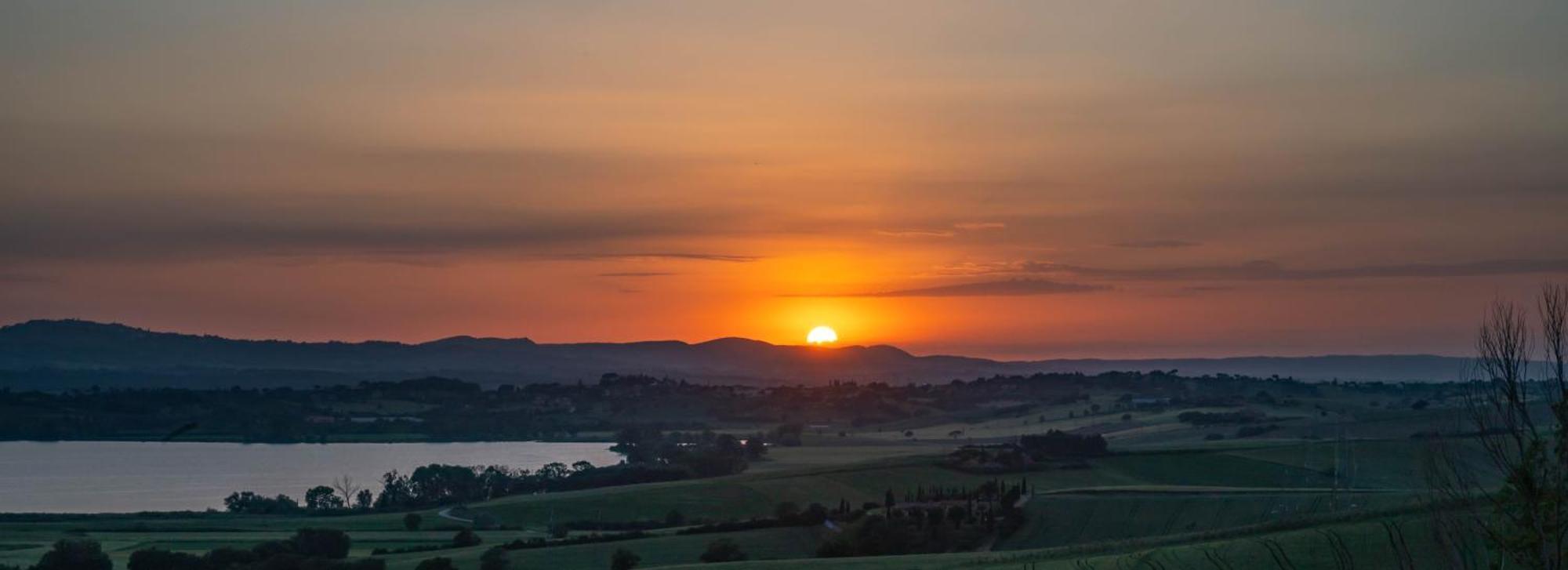Agriturismo Poggio Antico 비나미 외부 사진