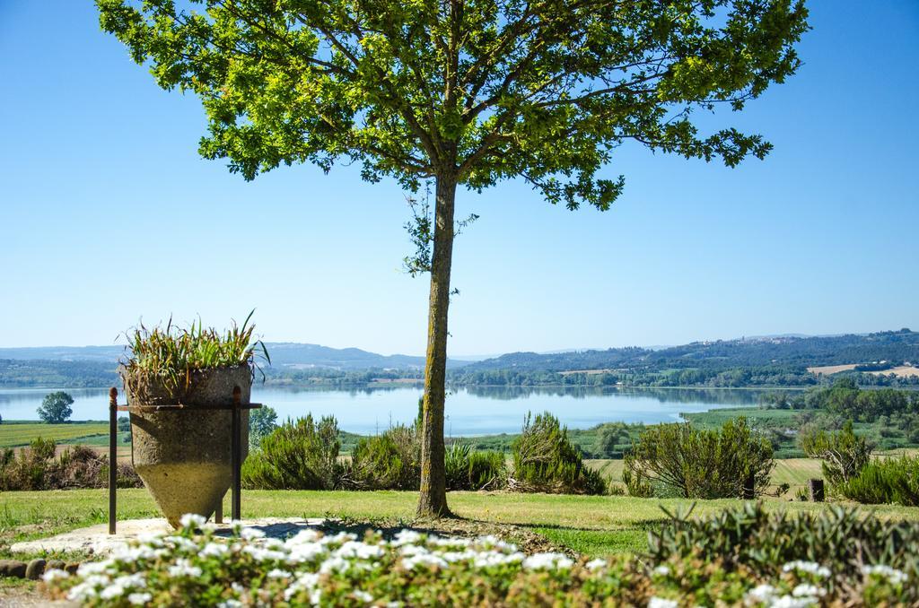 Agriturismo Poggio Antico 비나미 외부 사진