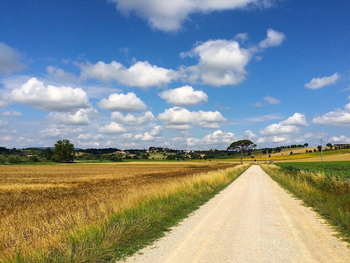 Agriturismo Poggio Antico 비나미 외부 사진